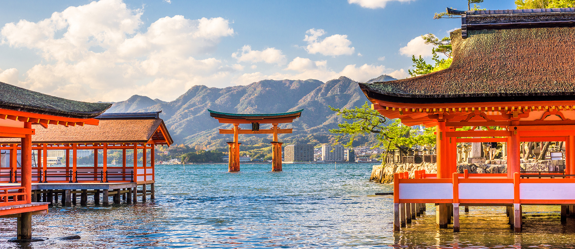 Uncover the Best of Japan
